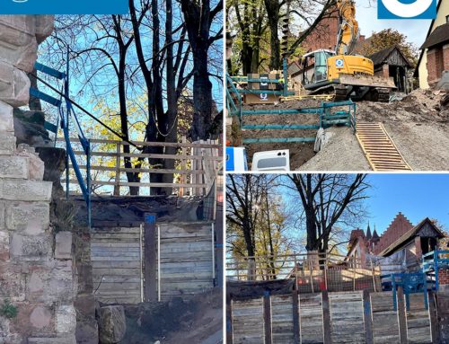 OCHS hilft Kastanienbäume am Nürnberger Marientor retten