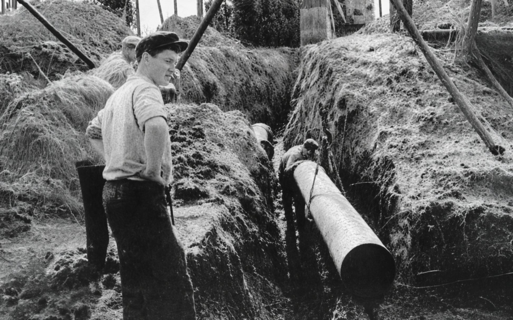1936